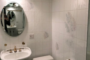 BathroomRemodeling_1_4